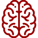 Brain
